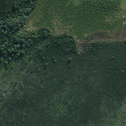 Satellite imagery of Ngahararu Point, NZ