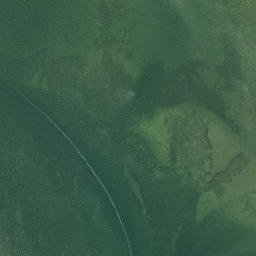 Satellite imagery of Te Pokere Pa, NZ