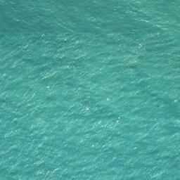 Satellite imagery of Pitokuku Point, NZ