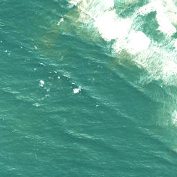 Satellite imagery of Pitokuku Point, NZ