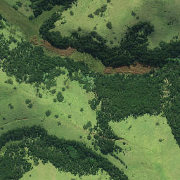 Satellite imagery of Paetotara Pa, NZ