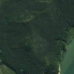 Satellite imagery of Flat Point, NZ