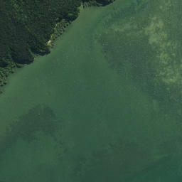 Satellite imagery of Flat Point, NZ
