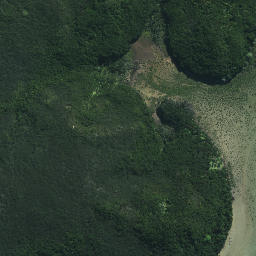 Satellite imagery of Pahuape Point, NZ