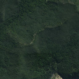 Satellite imagery of Pahuape Point, NZ