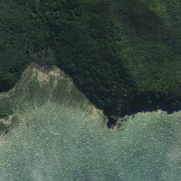 Satellite imagery of Te Toi Point, NZ