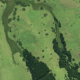 Satellite imagery of Paetotara Pa, NZ