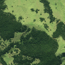 Satellite imagery of Paetotara Pa, NZ
