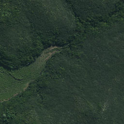 Satellite imagery of Paramatetaha Point, NZ