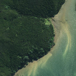Satellite imagery of Pahuape Point, NZ