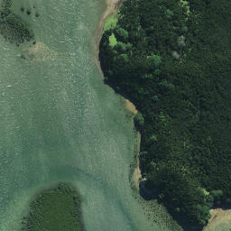 Satellite imagery of Pahuape Point, NZ