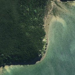 Satellite imagery of Pahuape Point, NZ