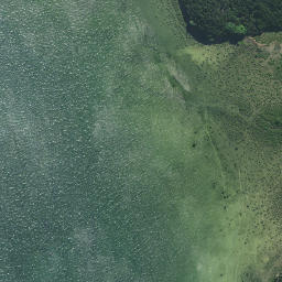Satellite imagery of Te Toi Point, NZ