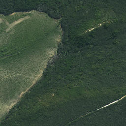 Satellite imagery of Te Toi Point, NZ
