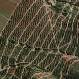 Satellite imagery of Cerro Los Hoyos, CL