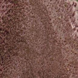 Satellite imagery of Cowabbie Hill, AU