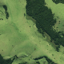 Satellite imagery of Paetotara Pa, NZ