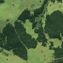 Satellite imagery of Paetotara Pa, NZ