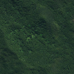 Satellite imagery of Ngatairahi Point, NZ
