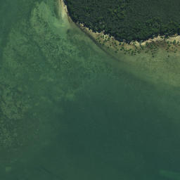 Satellite imagery of Flat Point, NZ