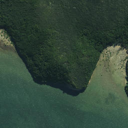 Satellite imagery of Paramatetaha Point, NZ