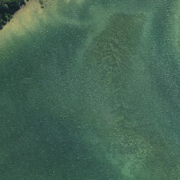 Satellite imagery of Pahuape Point, NZ