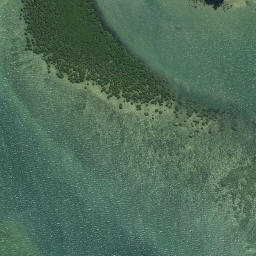 Satellite imagery of Pahuape Point, NZ