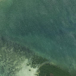 Satellite imagery of Pahuape Point, NZ