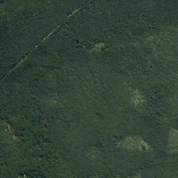 Satellite imagery of Te Toi Point, NZ