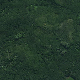 Satellite imagery of Ngatairahi Point, NZ