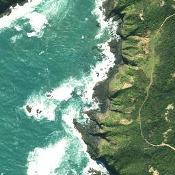 Satellite imagery of Tehepouto Point, NZ