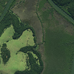 Satellite imagery of Ngatairahi Point, NZ