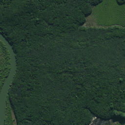 Satellite imagery of Ngatairahi Point, NZ