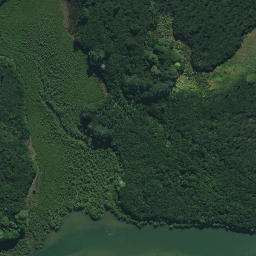 Satellite imagery of Ngatairahi Point, NZ