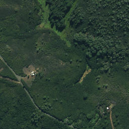 Satellite imagery of Ngaharoa Point, NZ
