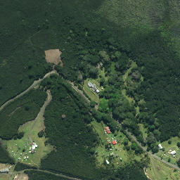 Satellite imagery of Ngaharoa Point, NZ