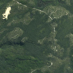 Satellite imagery of Ngamaru Point, NZ