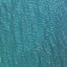 Satellite imagery of Coal Point, NZ