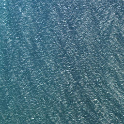Satellite imagery of Coal Point, NZ