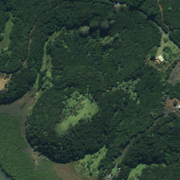 Satellite imagery of Ngaharoa Point, NZ