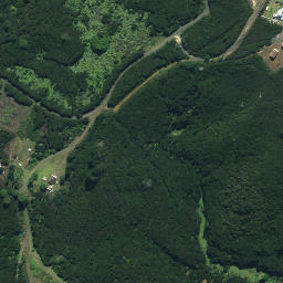Satellite imagery of Ngaharoa Point, NZ
