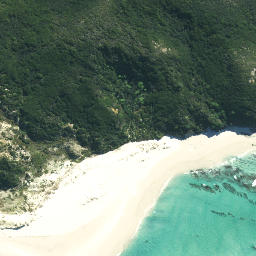 Satellite imagery of Ngamaru Point, NZ