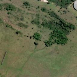 Satellite imagery of Brown, AU