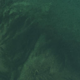 Satellite imagery of Te Pua Point, NZ