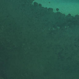 Satellite imagery of Te Pua Point, NZ