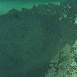 Satellite imagery of Te Pua Point, NZ