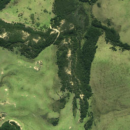 Satellite imagery of JUNCTION, NZ