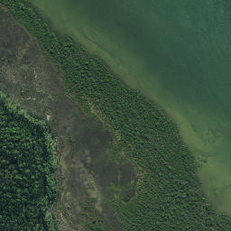Satellite imagery of Whakakoro Point, NZ