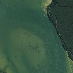 Satellite imagery of Whakakoro Point, NZ