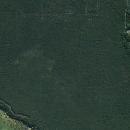 Satellite imagery of Ngakapua Point, NZ